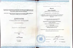 Diplom001-1